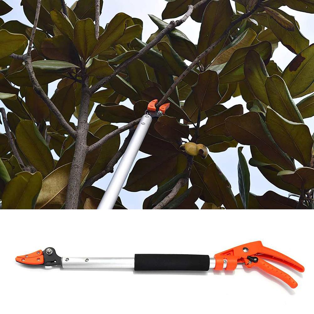 1M Fruit Picker Extra Long Fruit Picking Shears Pruning And Hold Bypass Pruner Max Cutting Grape Persimmon Picker Garden tools