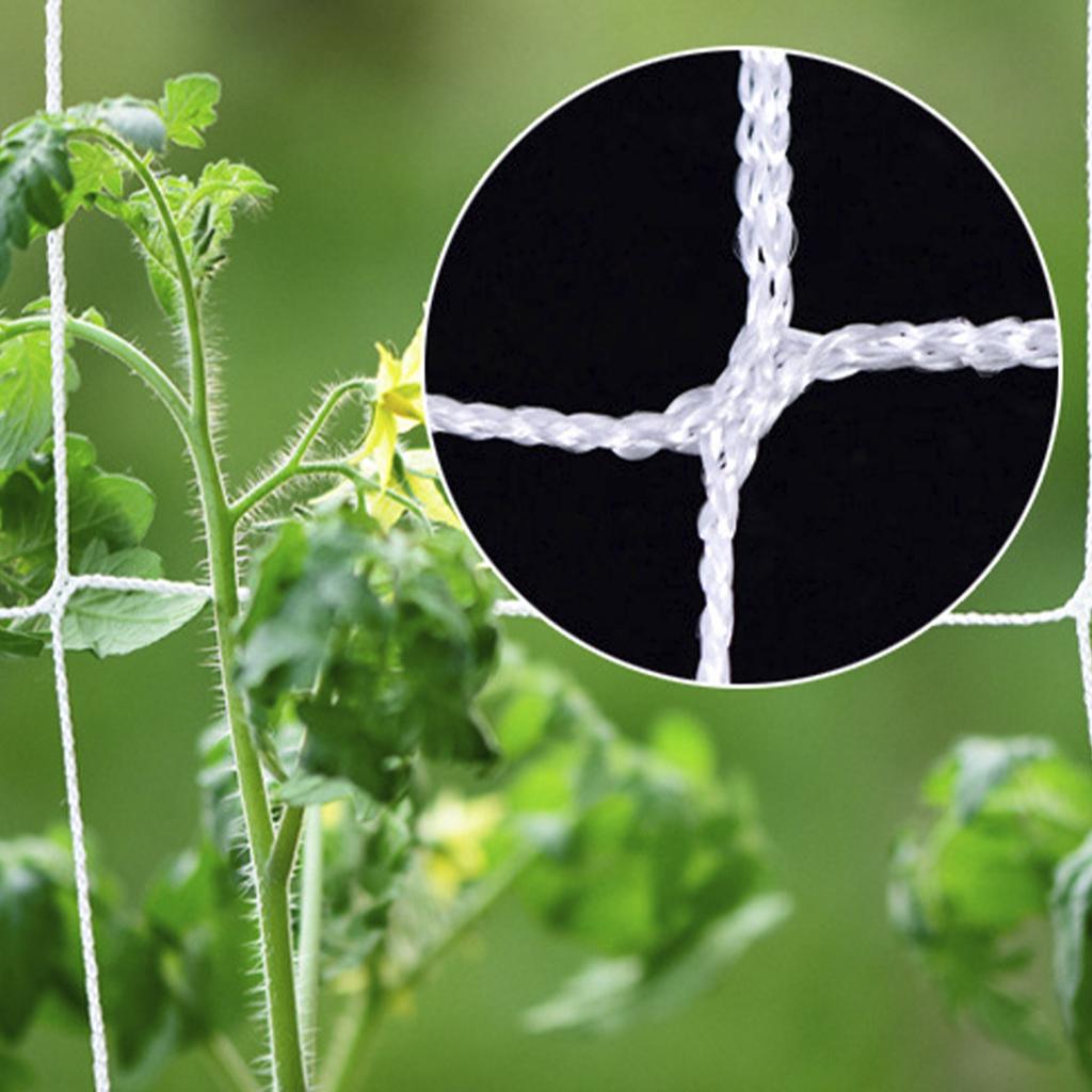 Trellis Netting 5x30ft Planting Climbing Net Multi Use Plant Support Vine Climbing Hydroponics Garden Net for Garden