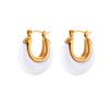 MamacitaSlay New Trendy Transparent Colored Resin Acrylic Geometric Round Hoop Earrings for Women Stainless Steel Party Jewelry