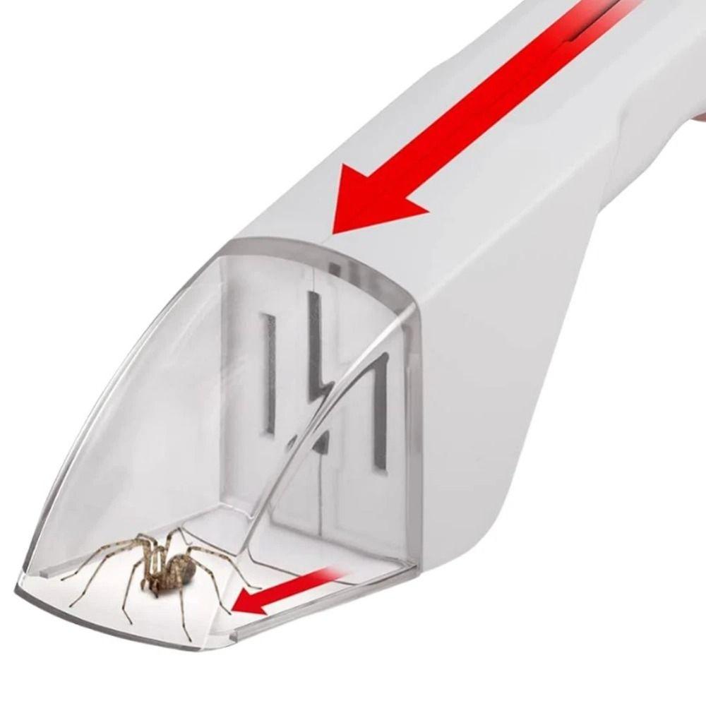 Clear Window Bug Box Container Quick-Release Insect Collection Kit Bug Catching Tool  Outdoor