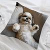 1 cute Shih Tzu pillow cover, zipper decorative cushion cover
