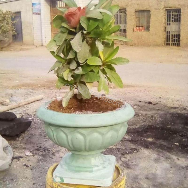 Blumentopfform DIY Basteln Bonsai Pflanzgefäßform Kunststoff Beton Ornament Gießen 6XDE