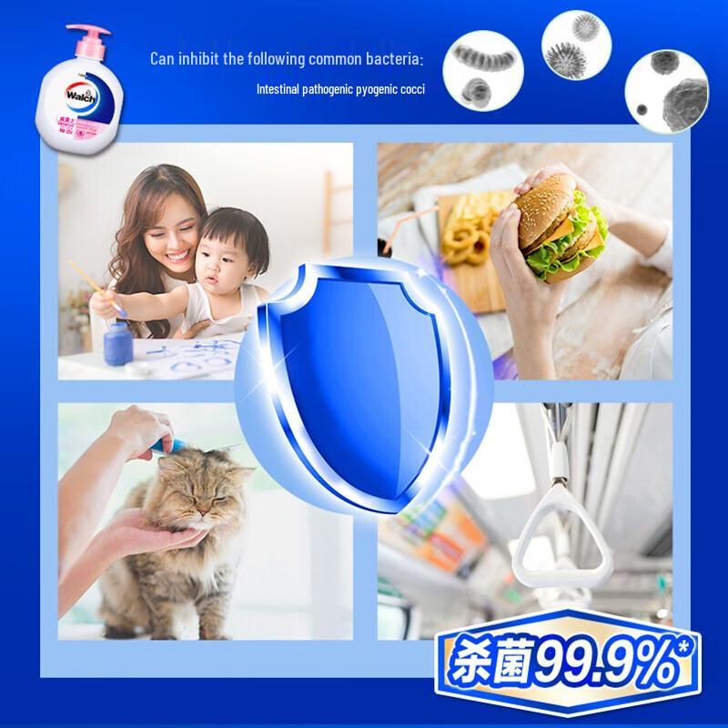 Walch Antibacterial Moisturizing Hand Soap