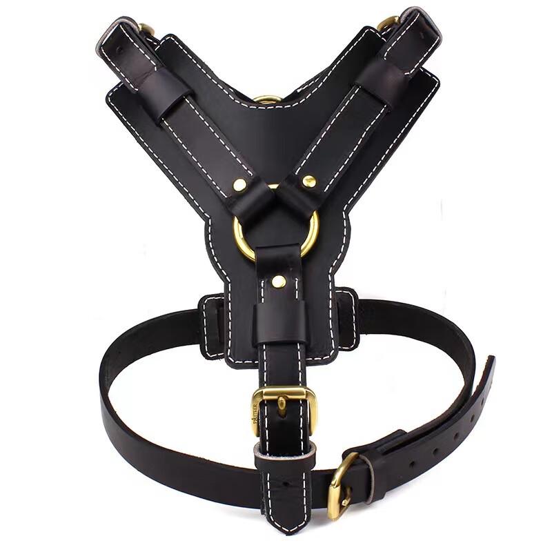 Bafang Yiyuan German Shepherd Large Dog Leather Harness & Leash Set M