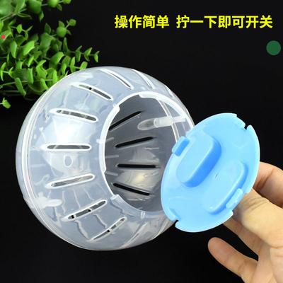 Hamster Supplies: Toys, Exercise Balls