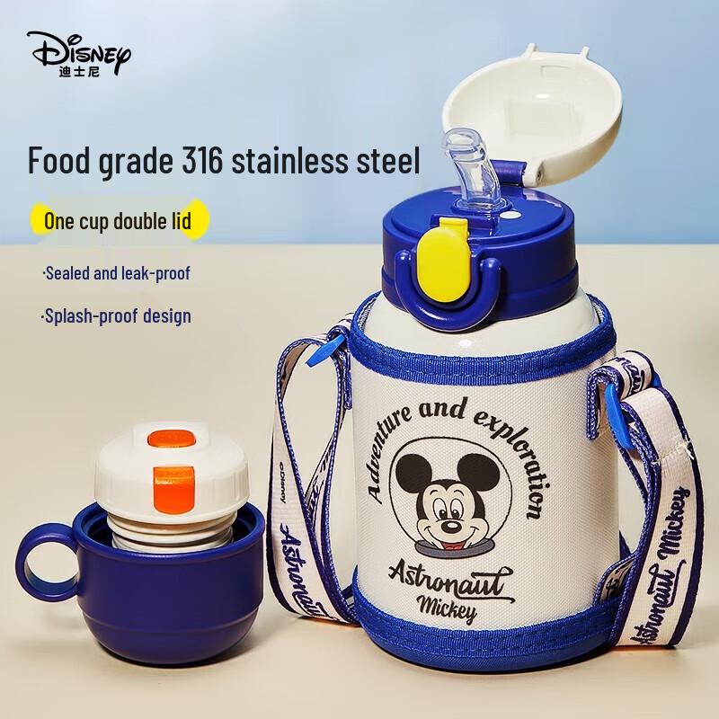 

Disney Kids 316 Stainless Steel Insulated Sippy Cup