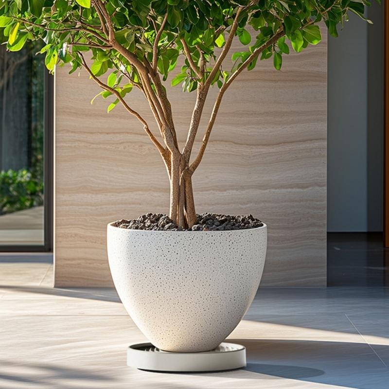 Mobile Plant Holder with Easy Glides Wheels Plant Transport Tray Flowerpot Mover for Protecting Floor from Scratches