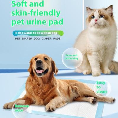 Köpek – Köpek bakım ürünleri