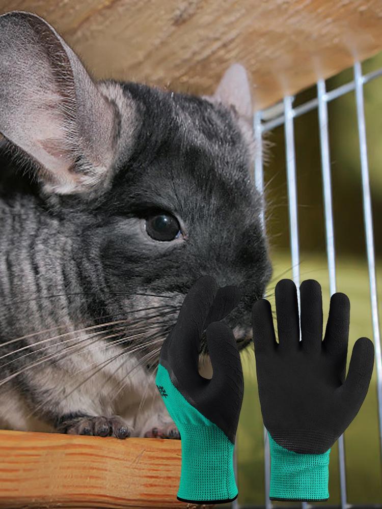 Haustier Bissfeste Handschuhe Meerschweinchen Anti-Biss-Handschuhe Sicherer Griff Verdickte Fäustlinge Haustierprodukte für Katzen Hunde Eichhörnchen Hamster