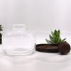Terrarium Extra-Large Ball Top Dark Tung Wood