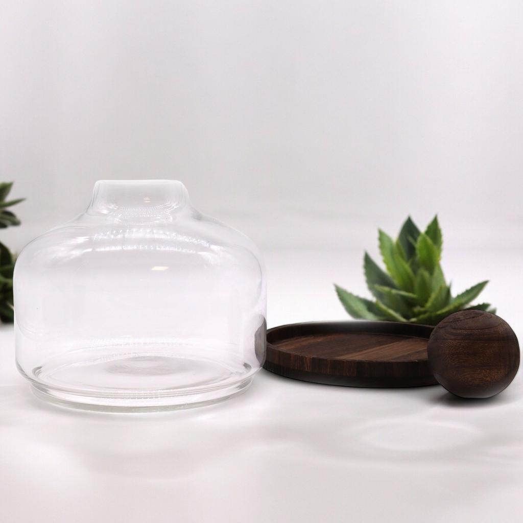 Terrarium Extra-Large Ball Top Dark Tung Wood