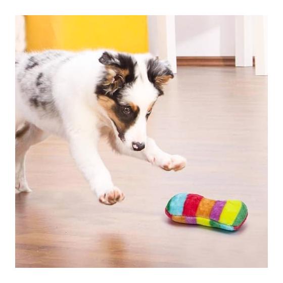 Set of 10 Dog Toys, Dog Chewing Toys, Sounds, Stuffed Animals, Cute, Dog Toys, Pet Supplies, Relieve Lack of Exercise, Stress Relief, Funny,