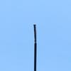 10Ml Ultra Fine Brush Empty Mascara Tube Liquid Eyeliner Mascara Bottle Eyelash Elongation Refillable Cosmetics Containers