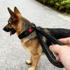 Cães – Colares e correias para cães