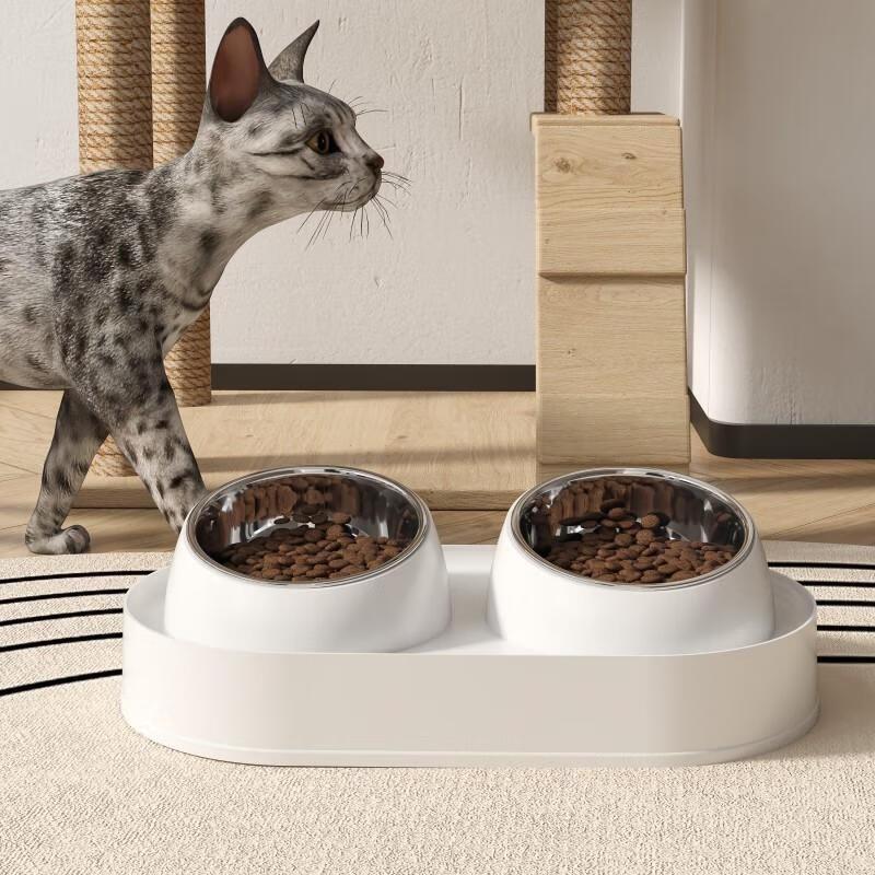 JINGRUIXIANG Elevated Cat Feeding Bowl with Neck Protection