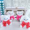 Cute Bow Bear and Rabbit Doll Pendant Cartoon Plush Toy Bag Keychain Doll