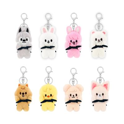 Latest  Pilot Doll Skzoo Stray Kids Plush Plaything Keychain Plush Pillow Room Packaging Clothing Decoration Series Model