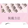 LuxeFlutter - Natural Doll Eye Cluster Glue-Free False Eyelashes