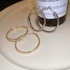 Hollow Metal Circle Earrings Niche Personality Fashion Earrings Simple Temperament Earrings