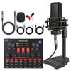 V8s English Sound Card Device: Desktop and Mobile Live Broadcast & Recording Set