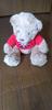 [USED] British Teddy Bear