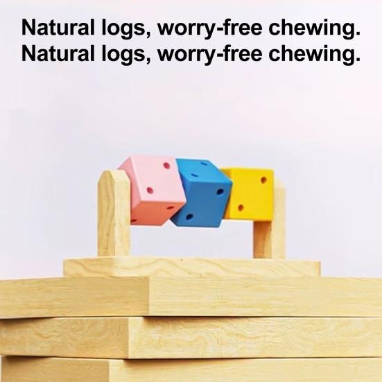 Hamster Enrichment Toy Wooden Painted Cubes Guinea Pig Chew Toy Pet Teeth Grinding Toy