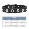 (Lettera Gratuita con Strass Bling)Collare Personalizzato in Pelle per Gatto Cane Collari per Cuccioli per Cani Piccoli Medi Target Nome ID Personalizzato