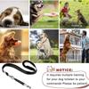 PILONG Dog Whistle, 2023 New 2PCS Ultrasonic Dog Whistle To Stop Barking Neighbors Dog, Professional Adjustable Silent Dog Whistle Training Tools for
