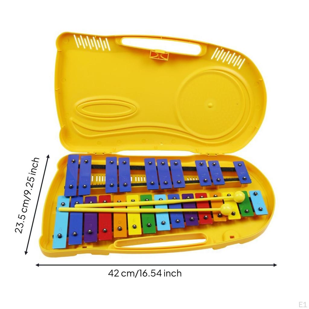 Xylophone with Carry Case 25Note Portable for Beginners, Young