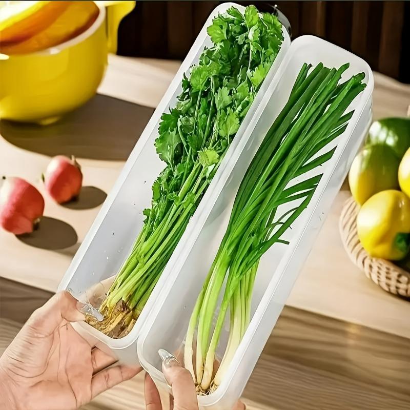 24pcs Long Rectangular Food Storage Containers Plastic Reusable Refrigerator Organizer Boxes for Herbs Vegetables 1540₽