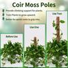 Fashion Detachable Moss Pole 32/42/52cm Gardening Tools Plant Climbing Pole To Grow Upwards Coconut Palm Stick Indoor