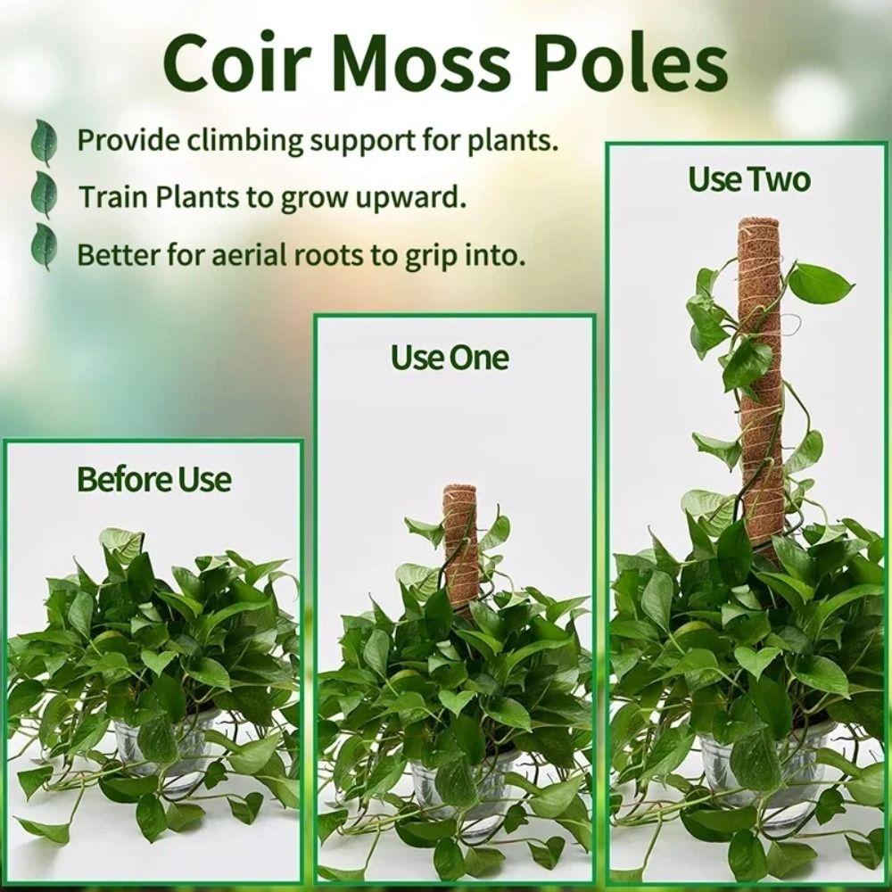 Fashion Detachable Moss Pole 32/42/52cm Gardening Tools Plant Climbing Pole To Grow Upwards Coconut Palm Stick Indoor