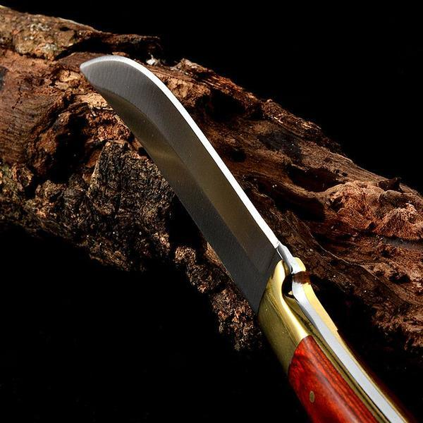 Stainless Steel Boning Knife Fruit Vegetable Slicer Cooking Tool with Cover
