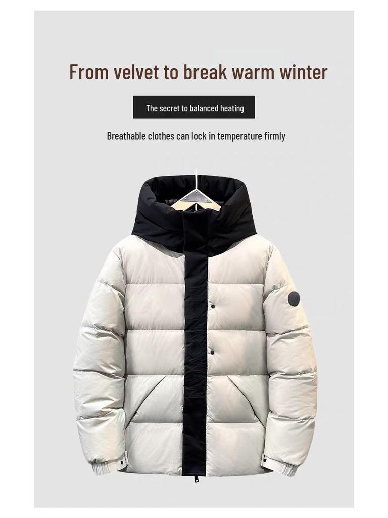 Men's Winter Fashion Stand Collar Windproof White Duck Down Jacket