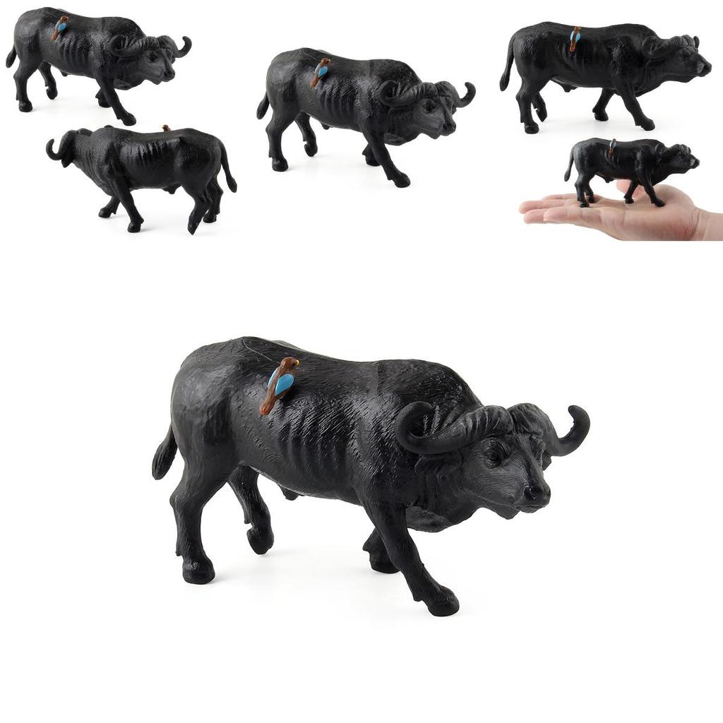 Wild Animal Water Buffalo Model Plastic Toy For Kids Educational Playroom Decor