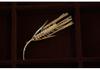 Bo Xin Yun Crystal Pearl Wheat Ear Brooch - Elegant Lapel Pin for Suits