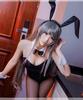 Rascal Does Not Dream of Bunny Girl Senpai Mai Sakurajima Cosplay Costume with Wig [Milky Time] (Size M)