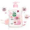 Dettol Healthy Antibacterial Hand Wash