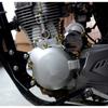 30Pcs Motorcycle Modification Head Cover Accessories Screw Decorative Parts For Yamaha Kawasaki Honda Nuts Styling Cover