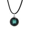 Horoscope Pendant Necklace with Extended Chain Dress Up Hypoallergenic Luminous 12 Constellation Necklace Fashion Jewelry