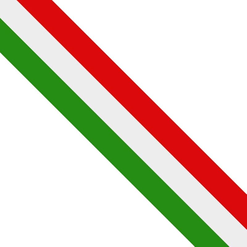 LZLRUN 3inches x 118inches Stripes Rally Side Hood Racing Motorsport Vinyl Decal Sticker Strip Bumper Engine Cover (Italian Flag Stripe Decal Italian Flag Stripe Decal