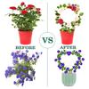 Plant Circle Trellis Climbing Plants Coated Wire Trellis Planter Insert Heart Shape Trellis Small Plant Support Stakes for Flowers Houseplants Garden