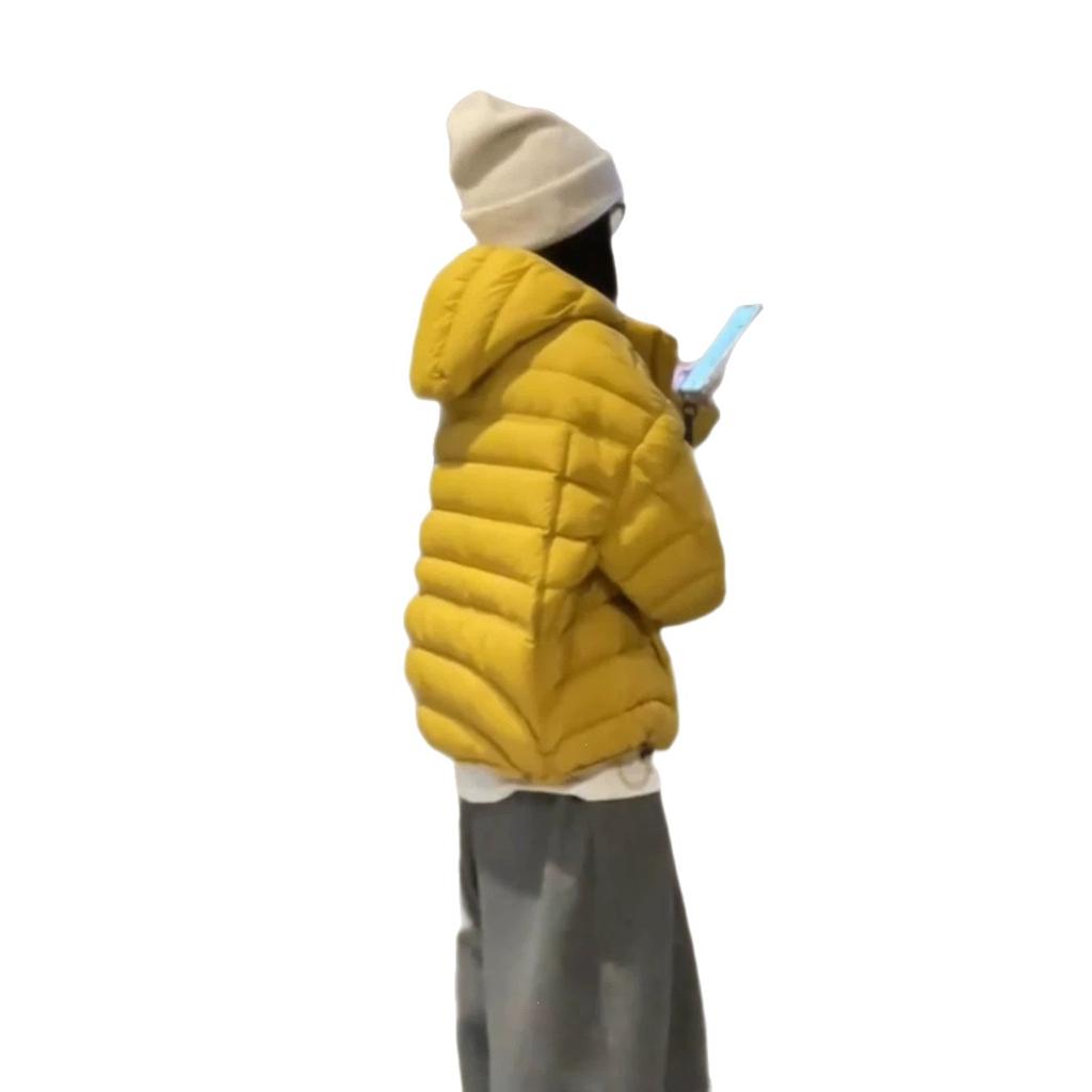 Wind women's short hooded cotton-padded coat bulk goods quilted grid-filled winter warm cotton-padded top