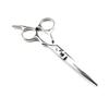 6.0" Hairdressing Scissors Set: Straight & Thinning Shears for Bangs
