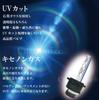 Customize D2S 55W Replacement HID Bulbs 6000K/8000K/10000K/12000K/15000K Assorted 2-Pack (6000K)