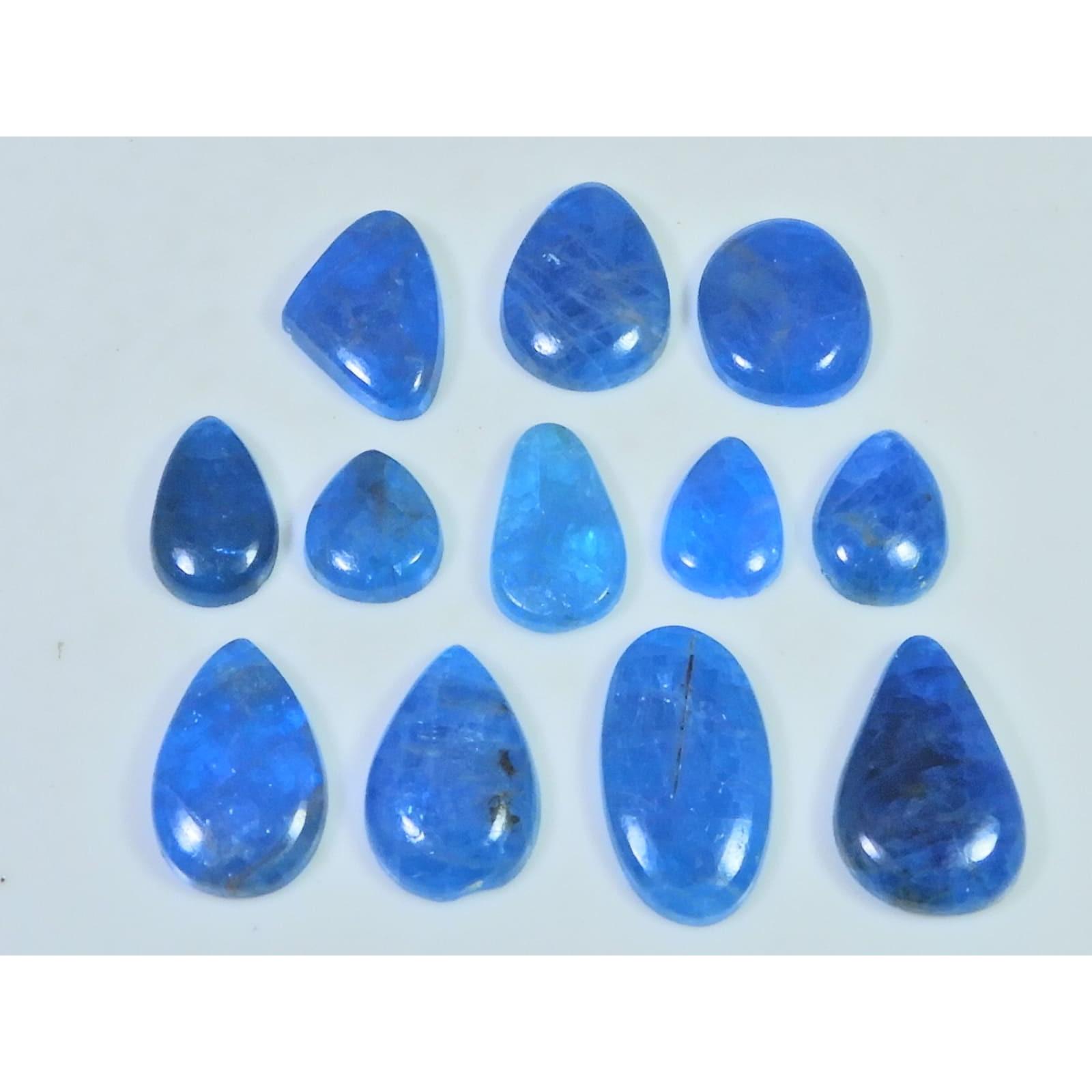 12Pcs Natural Blue Apatite Mix Shape Cabochon Loose Gemstone 78Cts. Lot C-2428