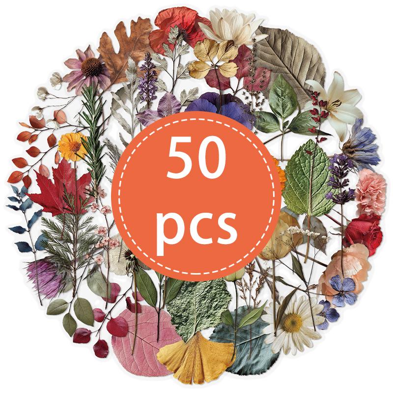 50PCS Vintage Flower Stickers for Scrapbooking Nature Plant Craft Sticker Transparent Realistic Dried Pressed Flower Stickers