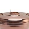 Rose Gold Dry Ice Hot Pot 410 Stainless Steel Dessert Fondue Pot Chinese Hot Pot  Home Kitchen