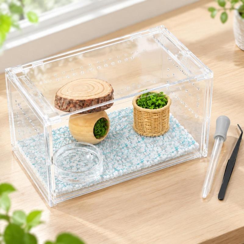 Salticid Feeding and Shelter Collection with Clear Dish, Side-Entry Retreat, Hanging Screen Sheet, Dropper, Tweezers, and Green Detail