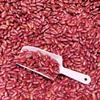 Multi-Purpose Plastic Kitchen Ice Scoops Bar Scoop for Canisters Flour Powders Dry Foods Candy Pop Corn Coffee Beans